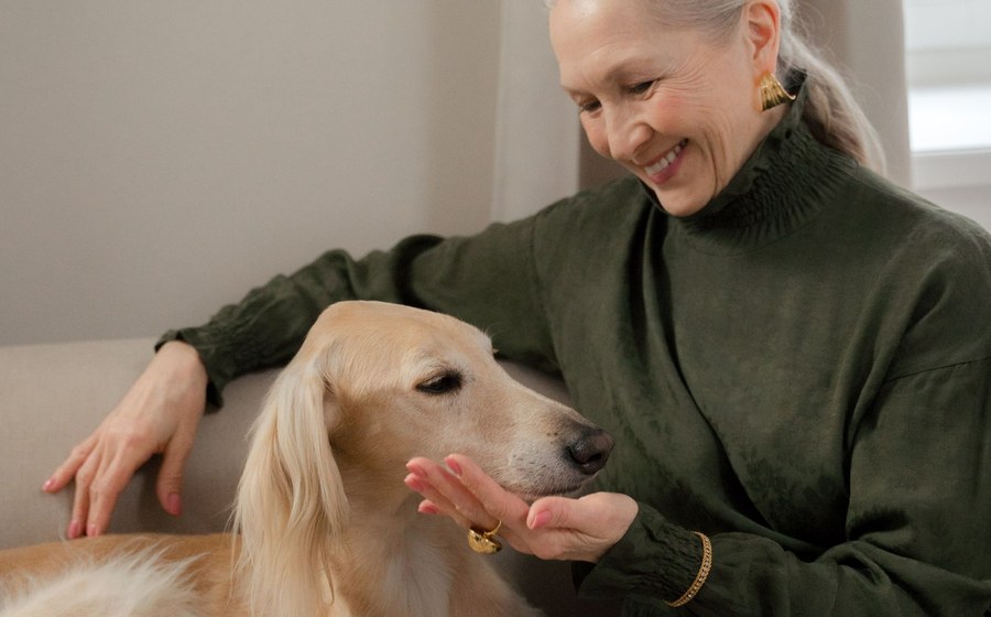 自宅で老犬をやさしくケアする50代 女性のいきがいシーン